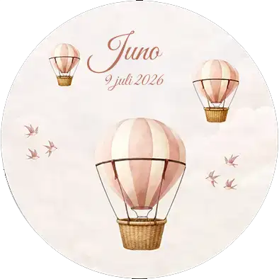 Behangcirkel thema Balloon Dreams Roze