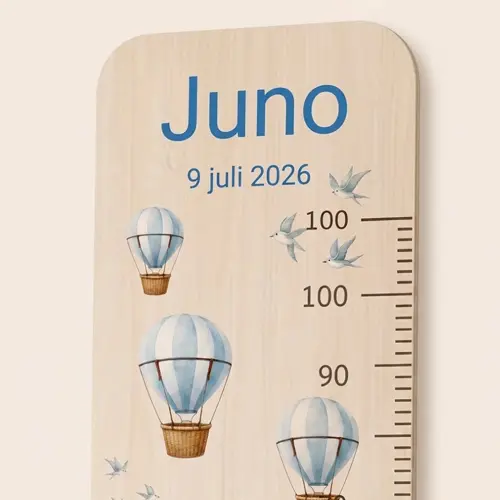 Balloon Dream groeimeter met naam