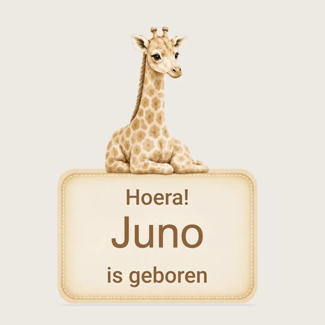 Geboortebord Jungle thema, variant 1