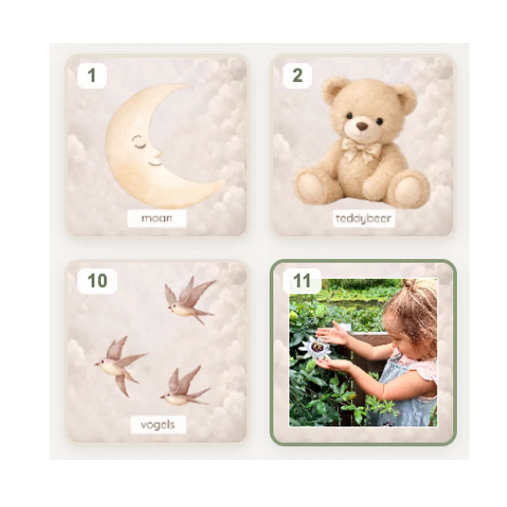 Geheugenspel thema Teddy Dreams