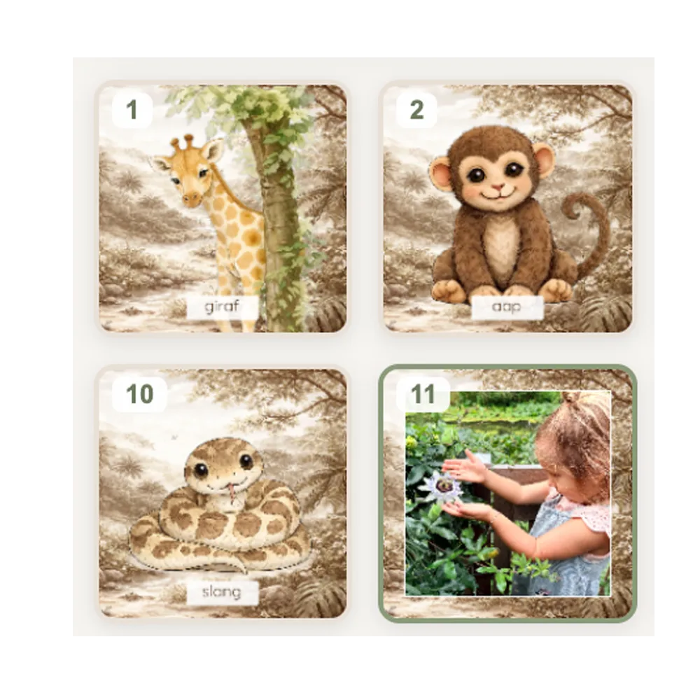 Geheugenspel thema Jungle