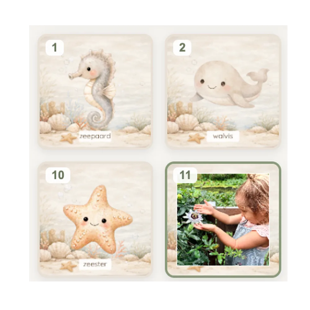 Geheugenspel thema Ocean Dreams
